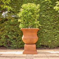 NAPLES Urn & Pedestal Iron Rust
