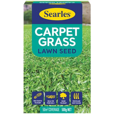 Carpet Grass Lawn Seed 500g