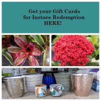 Gift Card – In Store redemption