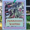 Grevillea Sunkissed Waters 140mm
