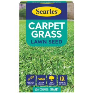 Carpet Grass Lawn Seed 500g