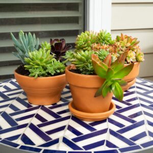Pot, Italian Terracotta Orchid 19cm