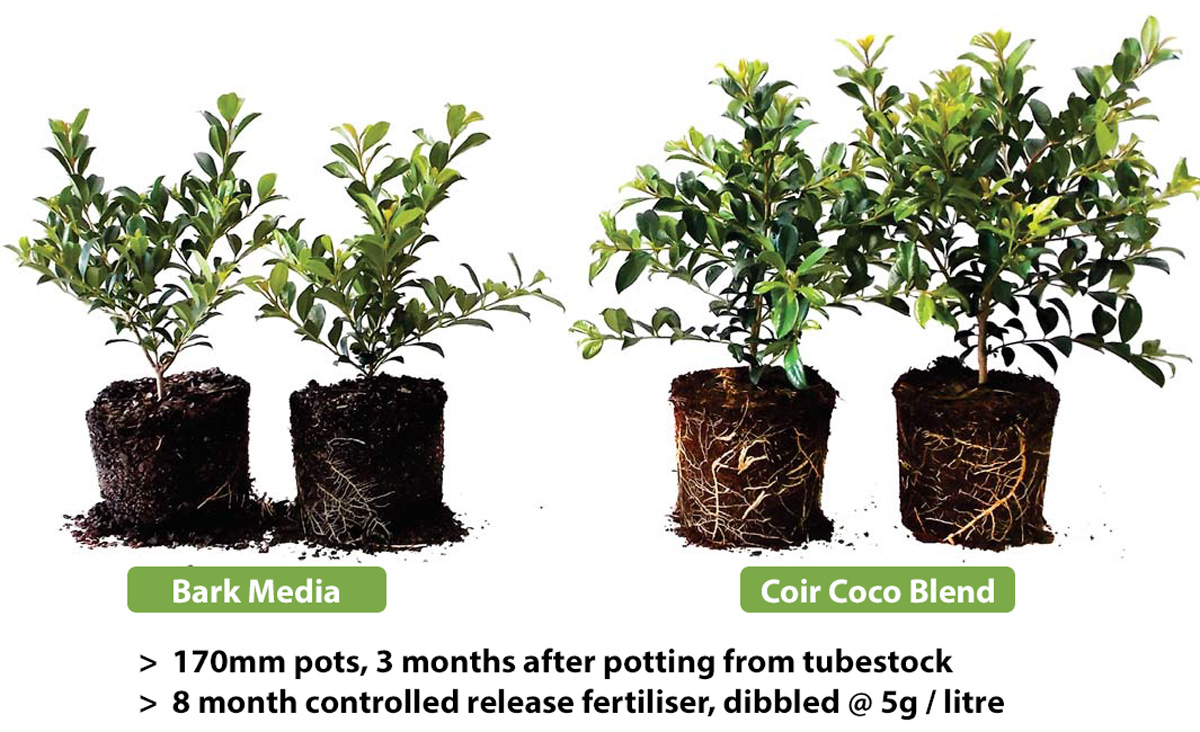 Coir Cocoblend 60/40 Optima 5kg Block