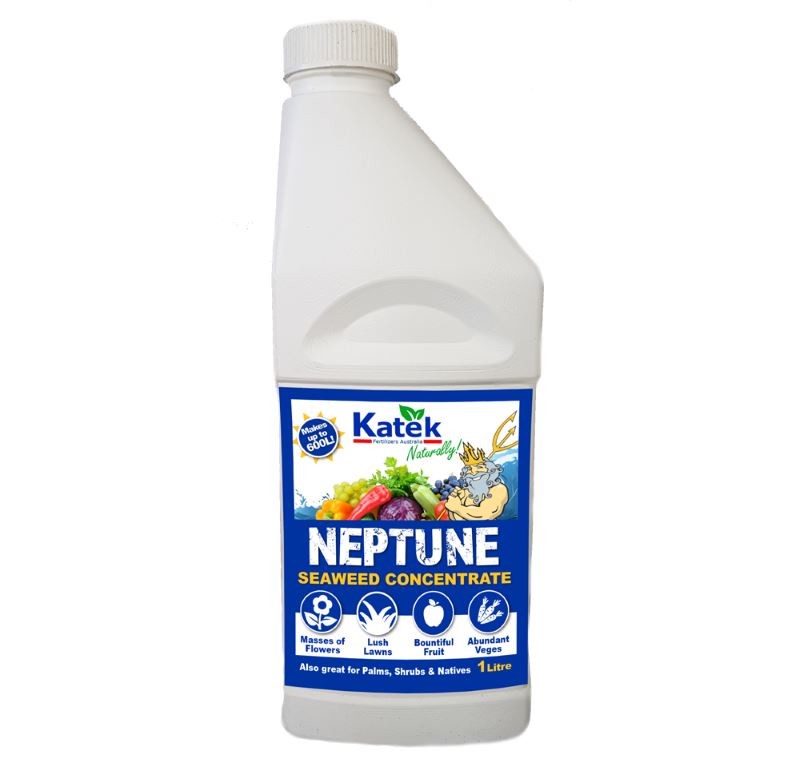 Neptune Seaweed Concentrate 1L
