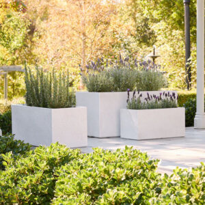 SLATE Trough White [Sz:Small]