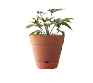 Leonard Self Watering Pot Brick [Sz:18cm]