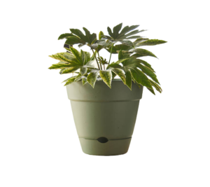 Leonard Self Watering Pot Green [Sz:18cm]