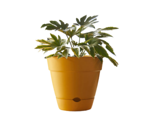 Leonard Self Watering Pot Yellow [Sz:18cm]