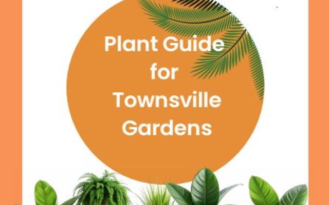 New Plant Guide Launch Helps Homeowners Choose the Perfect Plants for Their Garden Style