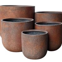 Ellie Pot Rust