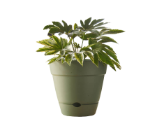 Leonard Self Watering Pot Green