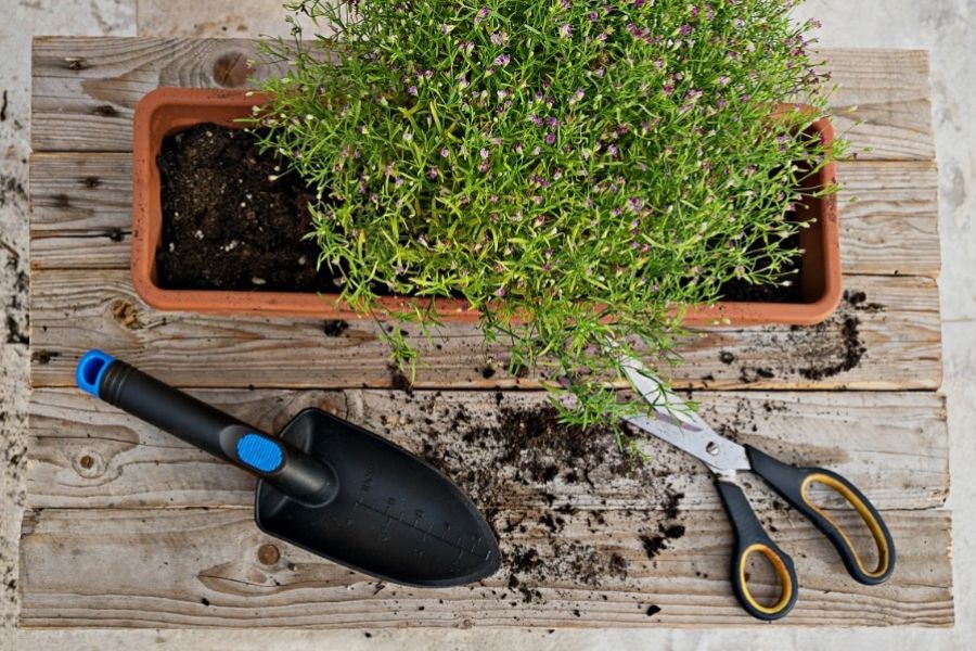 Mulch and potting mix bags for gardening use