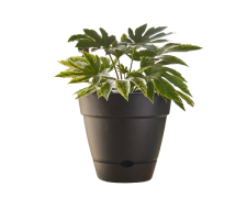 Leonard Self Watering Pot Black