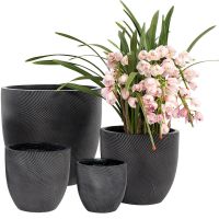 Helix Egg Pot Black