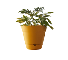 Leonard Self Watering Pot Yellow